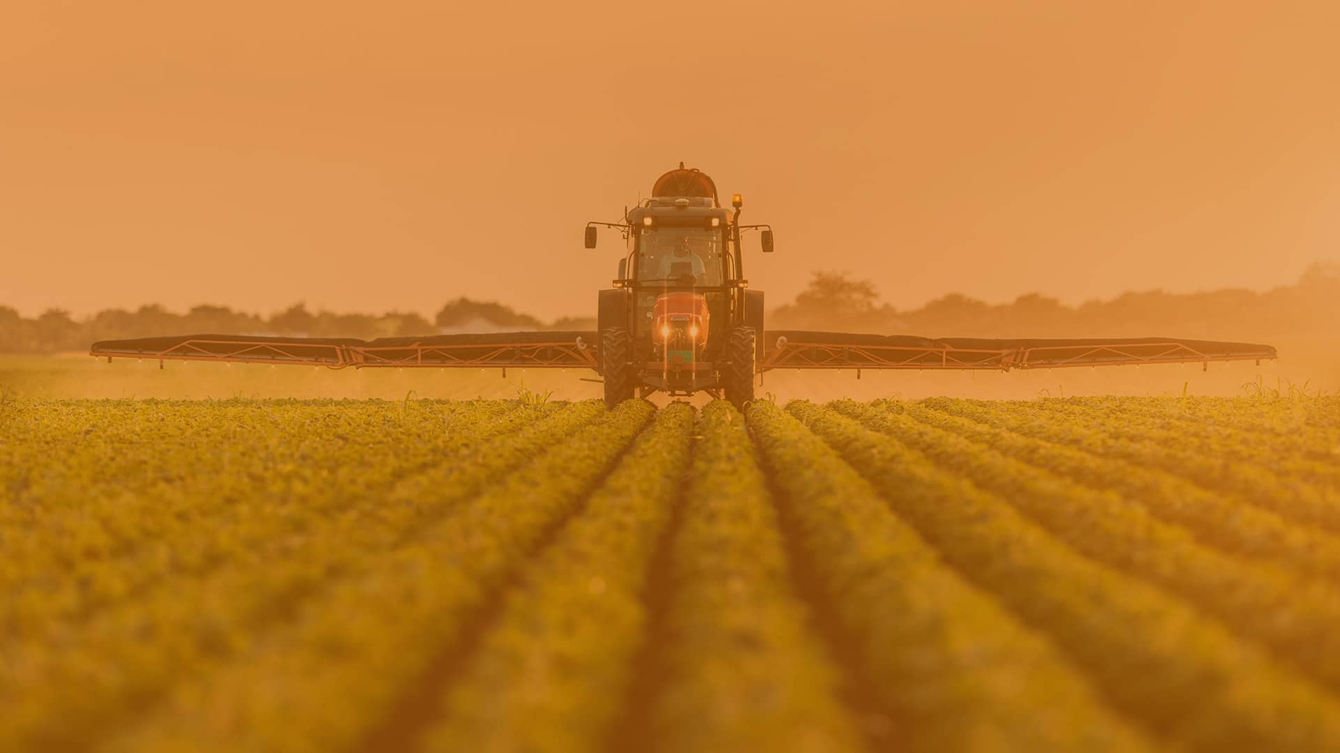 Fertilizers