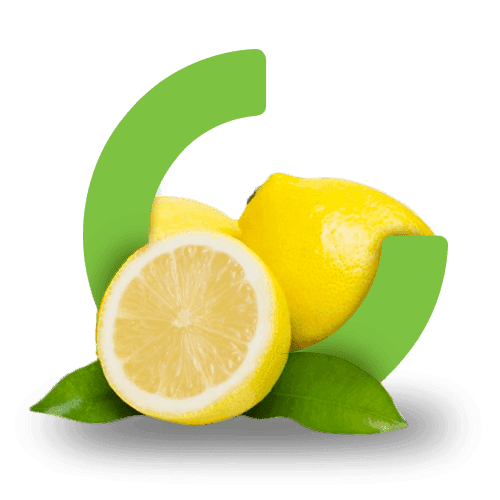 Fruits Icon