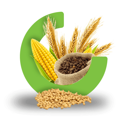 Grains Icon